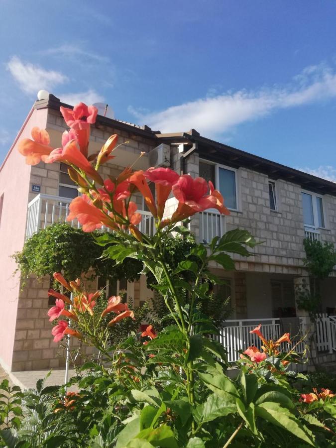 Apartmani Danica Оребич Екстер'єр фото